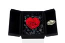 Picture of Eternal Rose Classic —【Intenly】